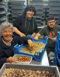 Photo artisan APF France Handicap Terres d'opale Insectes